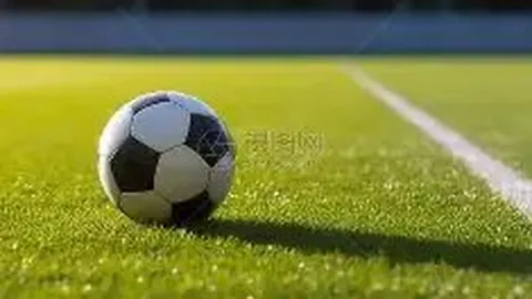 【彩运先生独家揭秘】2026010双色球预测：专家精准剖析，杀红球冷门必中技巧——07、12、30，不容错过！